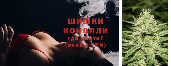 сатива Каменногорск