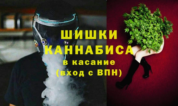сатива Каменногорск