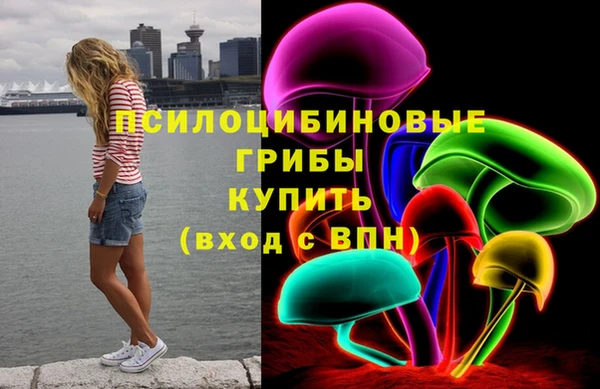 СК Каменск-Шахтинский