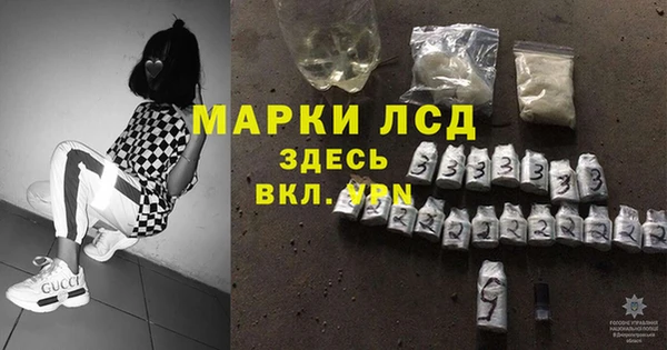 сатива Каменногорск