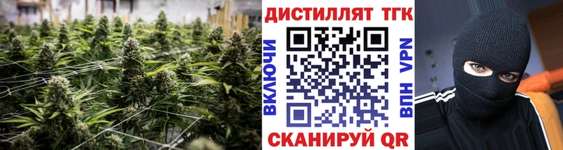 ТГК гашишное масло  Купить закладки  Великие Луки 