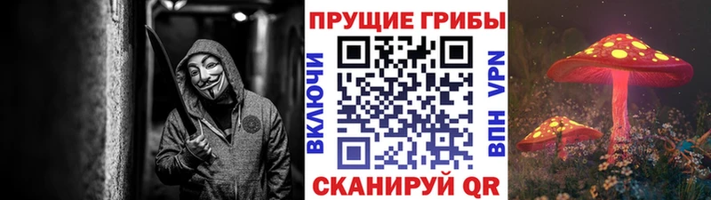 Псилоцибиновые грибы MAGIC MUSHROOMS  Купить  Великие Луки 